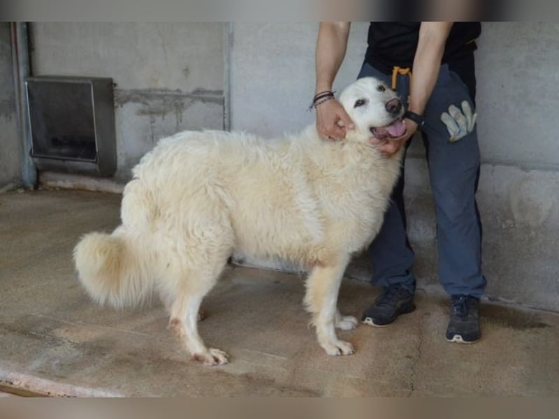 Quebry - Es ist, was es ist...