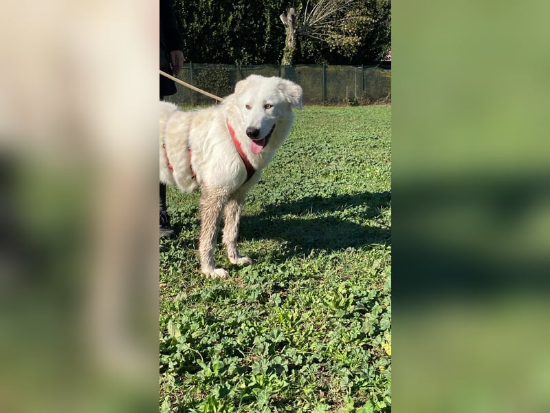 Mona - eine weiße Herzensbrecherin und ihre drei Schwestern