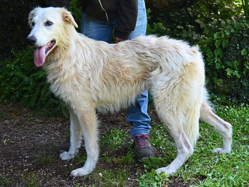 Isana - Wo ist mein neues Leben?