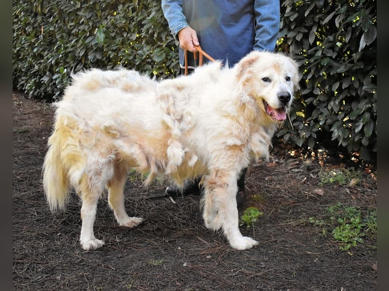 Apolonio - möchte für seine Menschen ein Fels in der Brandung sein