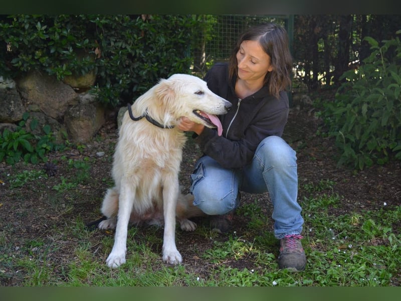 Isana - Wo ist mein neues Leben?