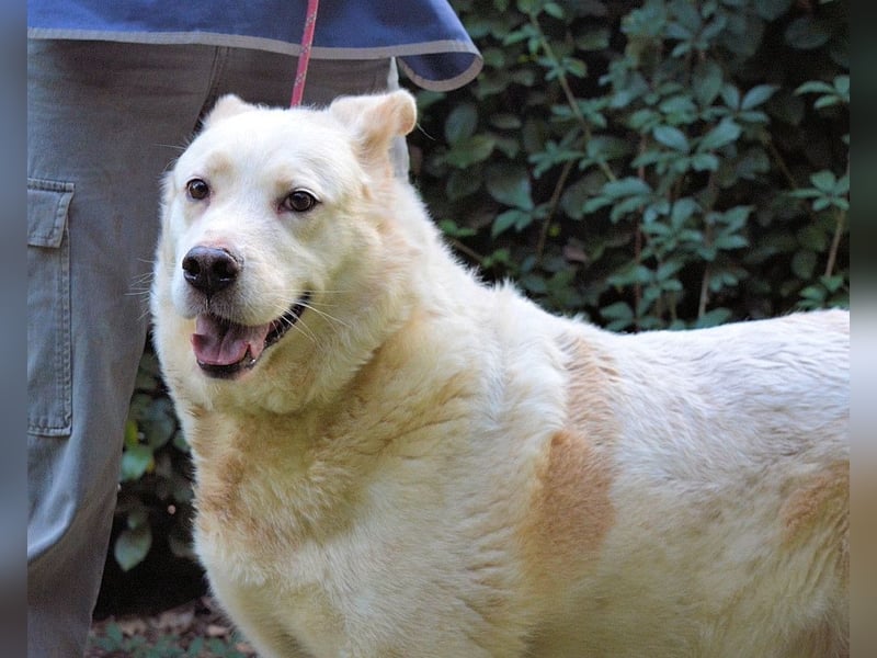 Zipper - Ein vergeudetes Leben