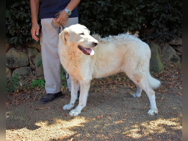 Makeen - es ist die Ohnmacht.....