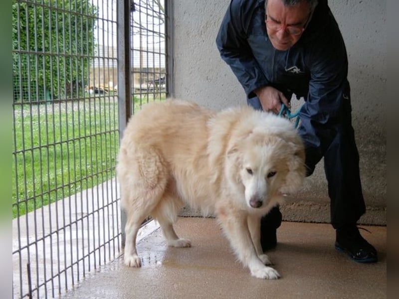 Olivielle- Junge Dame im Bärenmantel