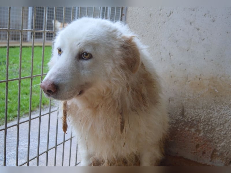 Fredrik - Was nach der Trennung kommt