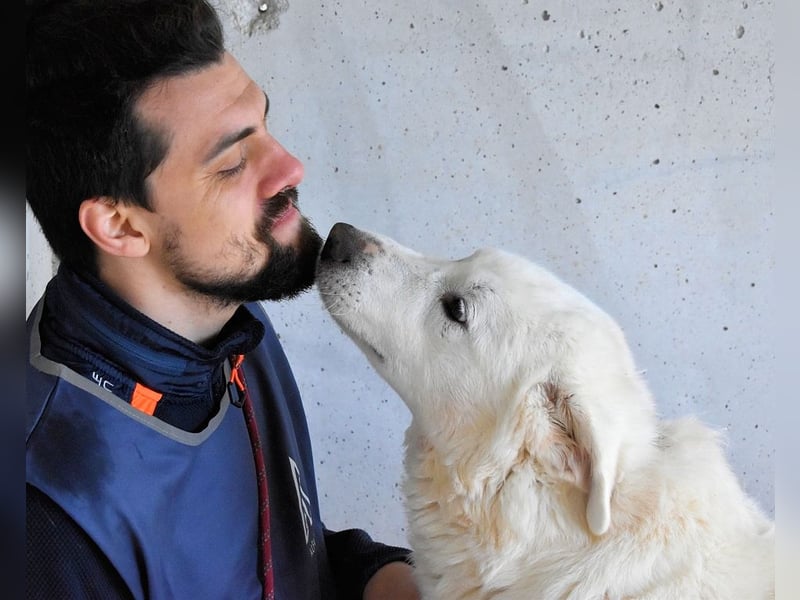 Sallustio - Der Sinn des Lebens