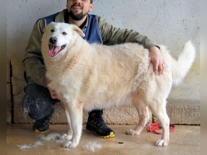 Sallustio - Der Sinn des Lebens