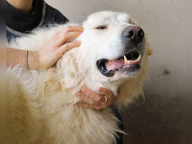 Leverett - Ich sehe was, was du (noch) nicht siehst!