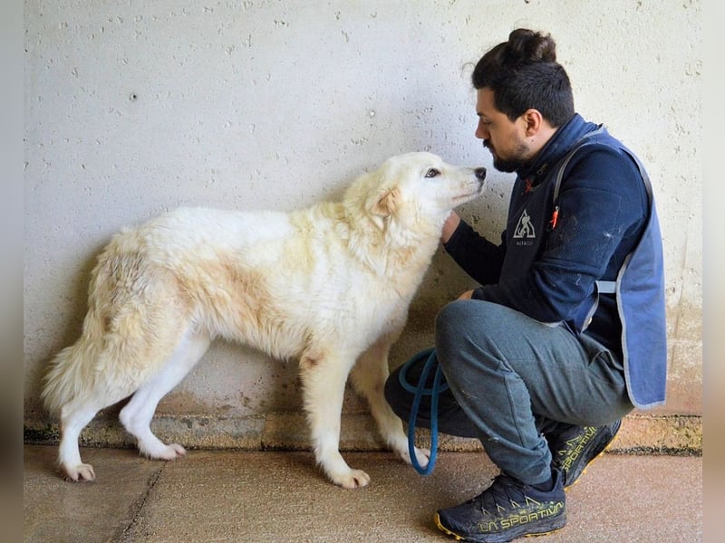 Amaya - So schön und so schrecklich?