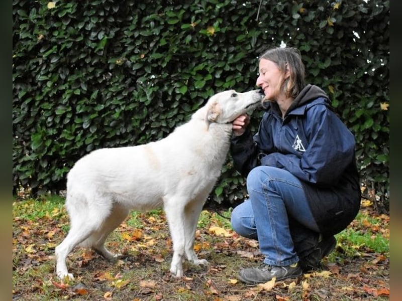 Yasmine - freundlicher Sonnenschein sucht sonniges Plätzchen