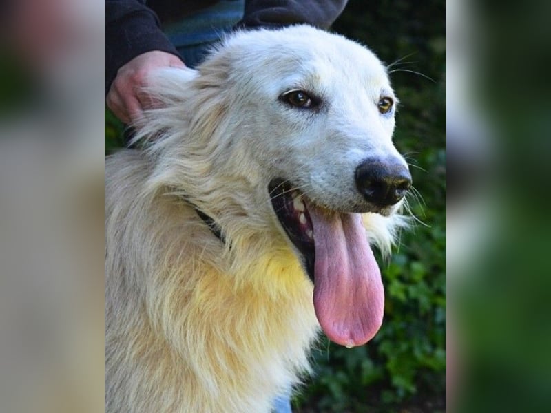 Isana - Wo ist mein neues Leben?