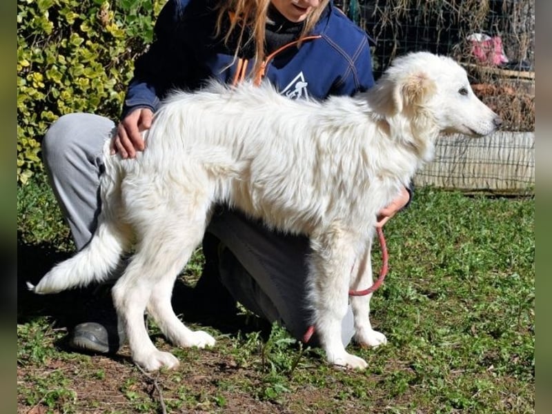 Heathon - sucht die Liebe seines Lebens