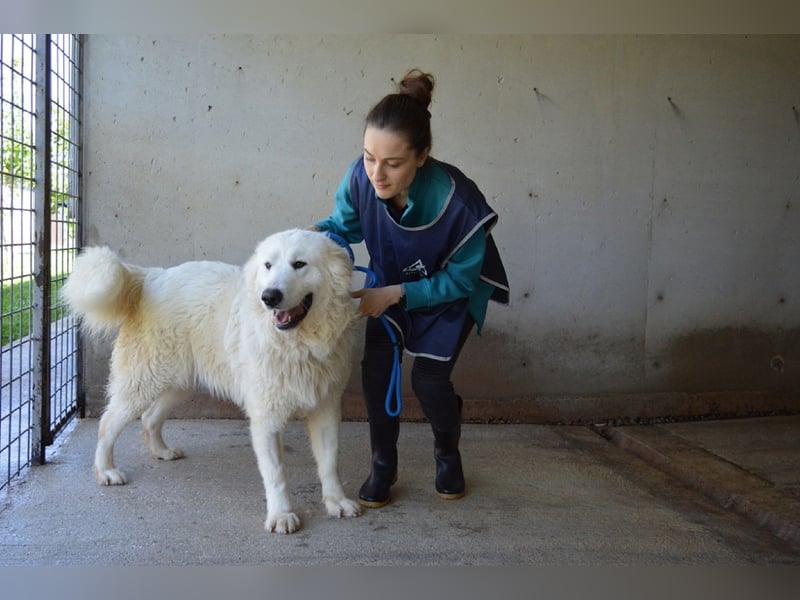 Leverett - Ich sehe was, was du (noch) nicht siehst!
