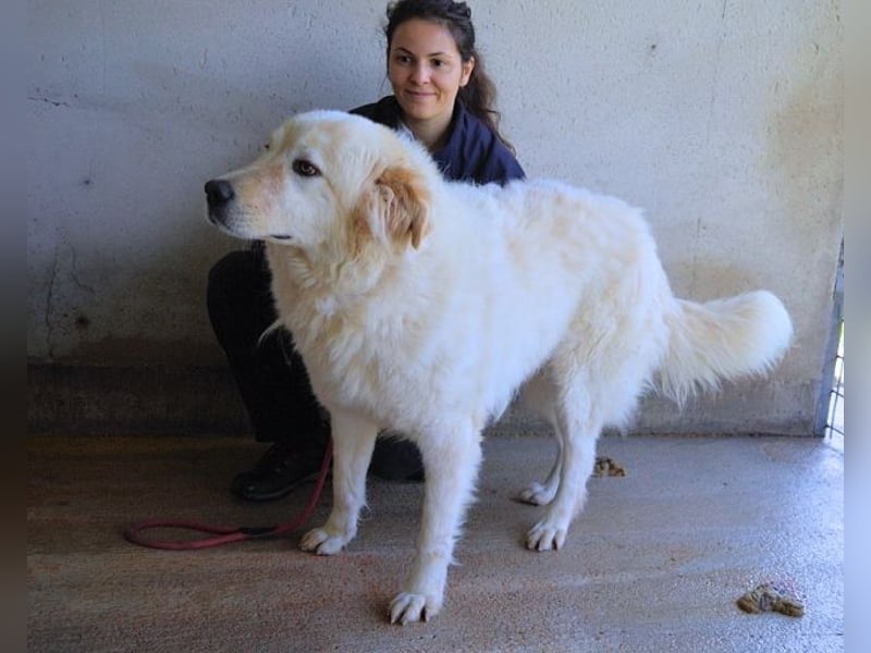 Skilah - Wenn Niemand zu Jemand wird