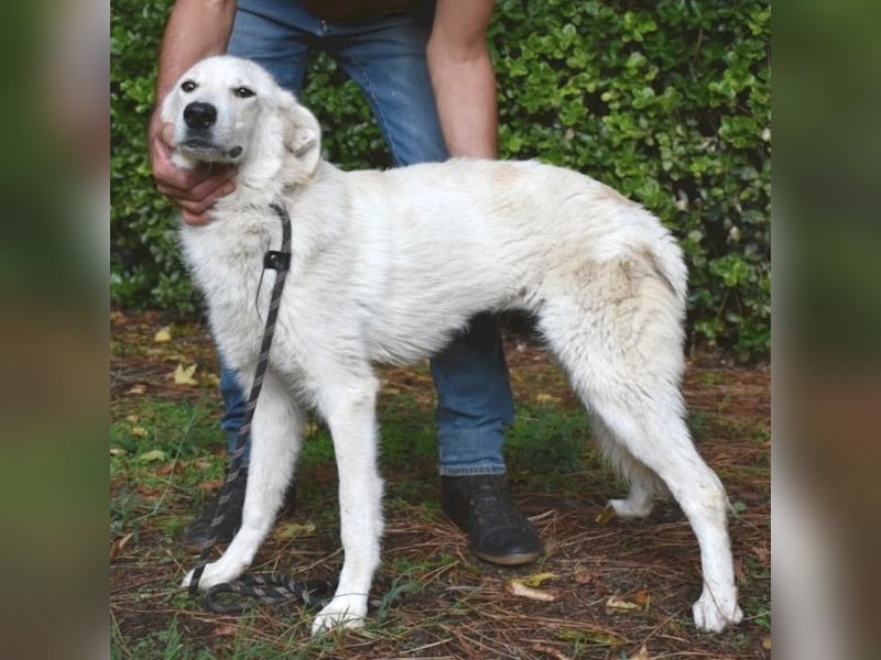 Yasmine - freundlicher Sonnenschein sucht sonniges Plätzchen