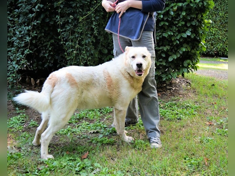 Zipper - Ein vergeudetes Leben