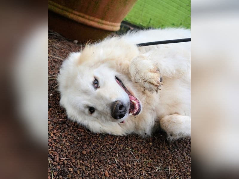 Hadriano - Viel mehr als nur einer unter vielen!