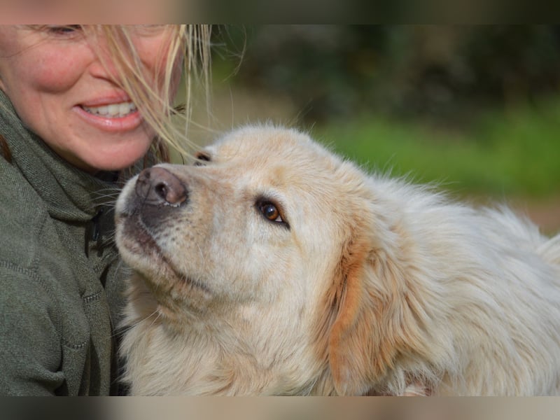 COOPER - ein Riese mit gutem Herzen