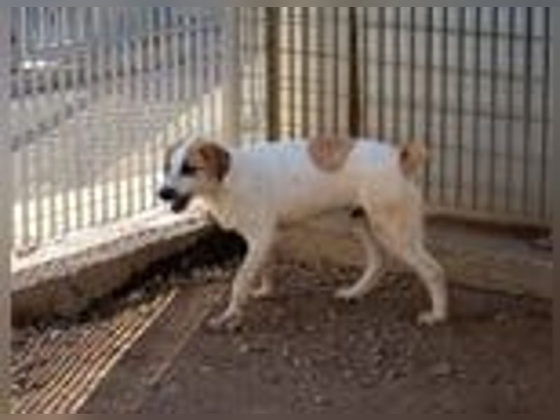 Notfall Romeo sucht seine Happy-End-Lovestory