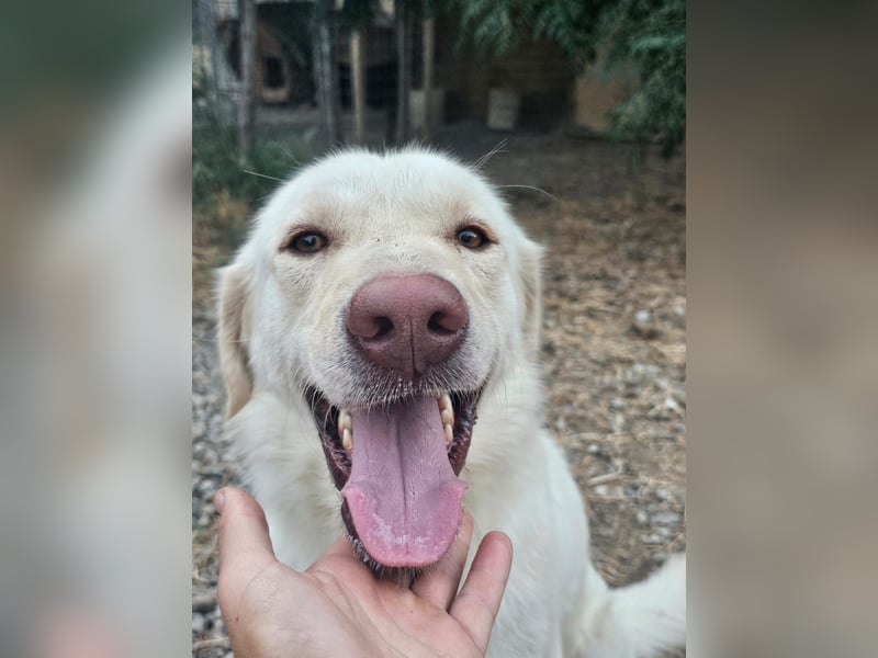 Mosé-neugierig & voller Lebensfreude