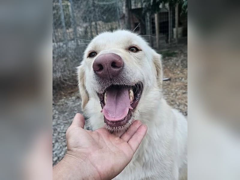 Mosé-neugierig & voller Lebensfreude