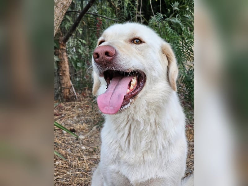 Mosé-neugierig & voller Lebensfreude