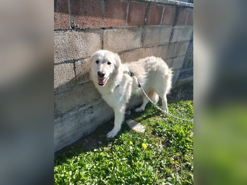 Nella,- ganz sachte leben lernen