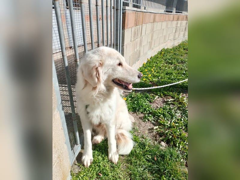 Nella,- ganz sachte leben lernen