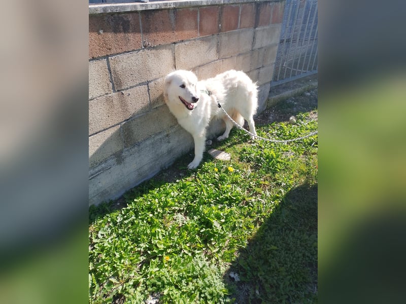 Nella,- ganz sachte leben lernen