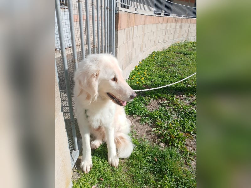 Nella,- ganz sachte leben lernen