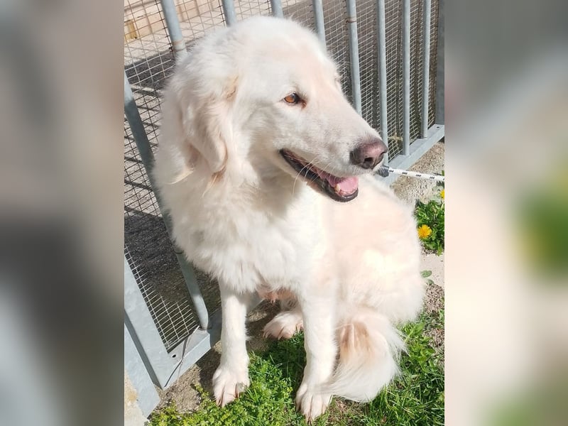 Nella,- ganz sachte leben lernen