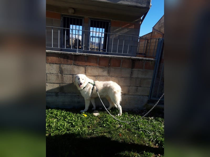 Nella,- ganz sachte leben lernen