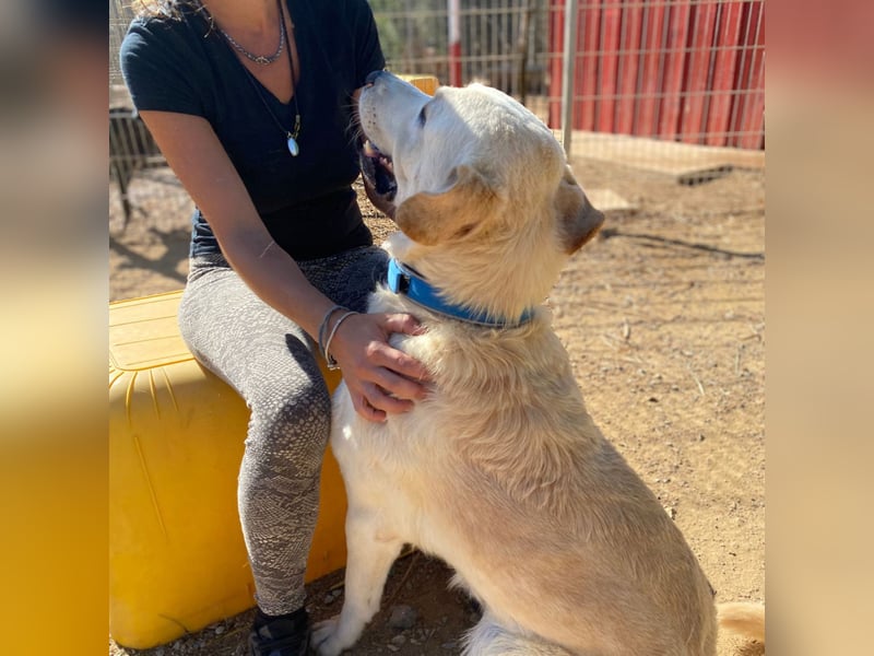 Cavour – ist reserviert