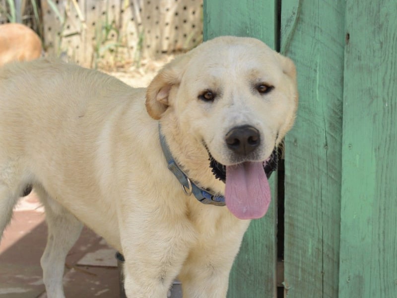 Cavour – ist reserviert