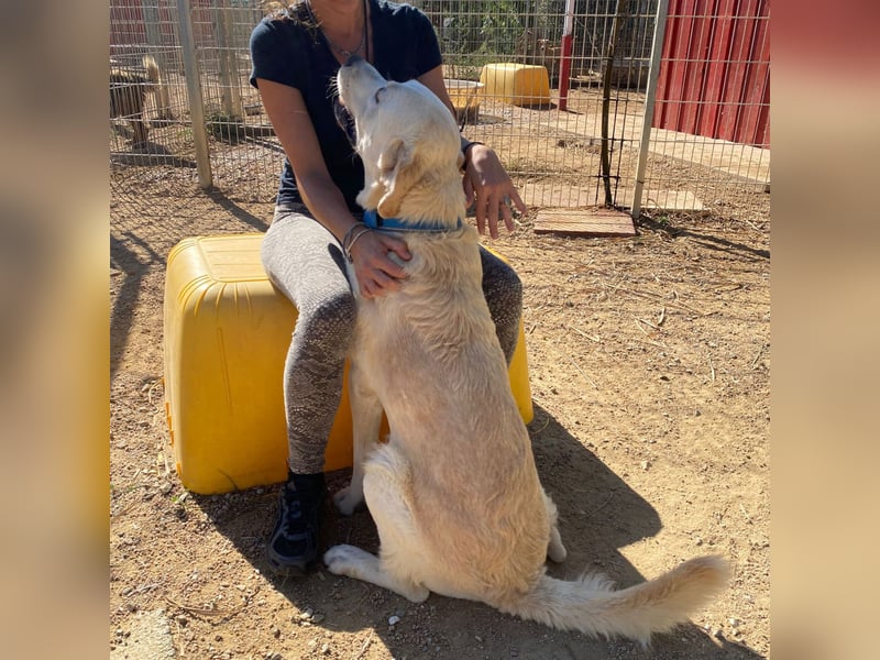 Cavour – ist reserviert