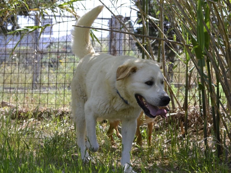 Cavour – ist reserviert