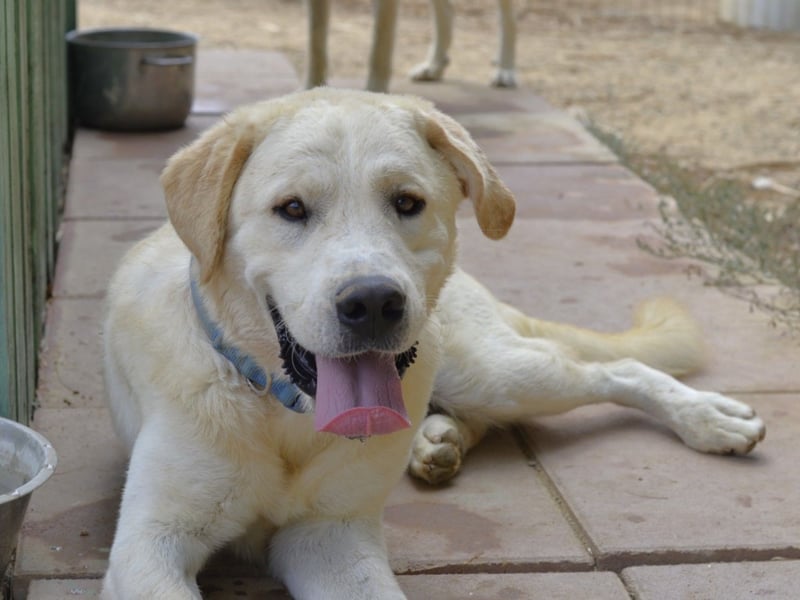 Cavour – ist reserviert