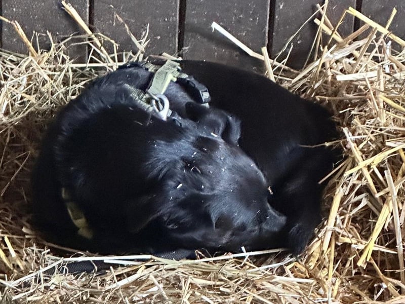 Cavour – ist reserviert