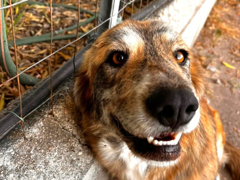 Stella – wo ist ihre Familie?