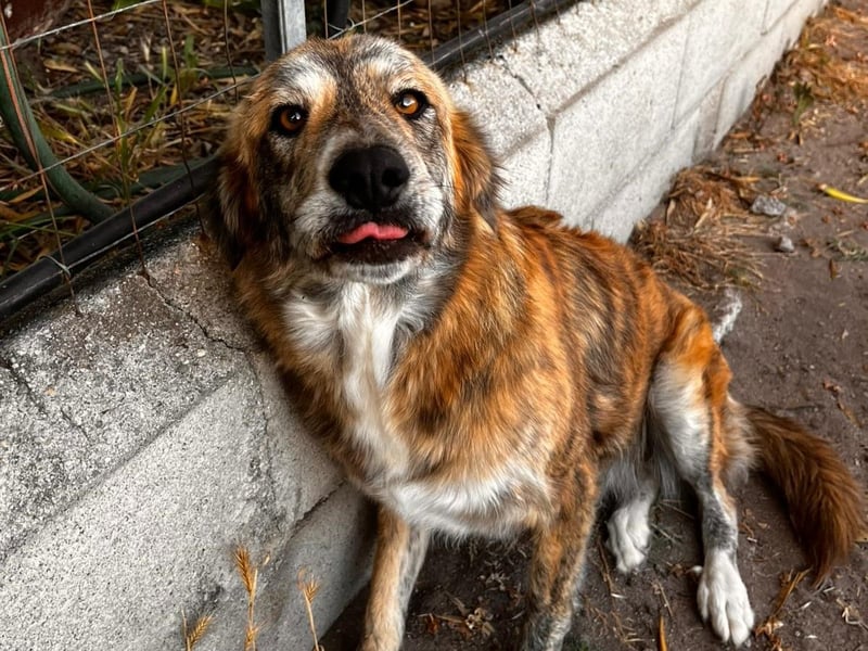 Stella – wo ist ihre Familie?