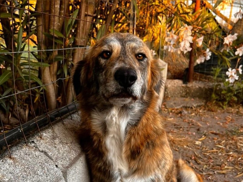 Stella – wo ist ihre Familie?