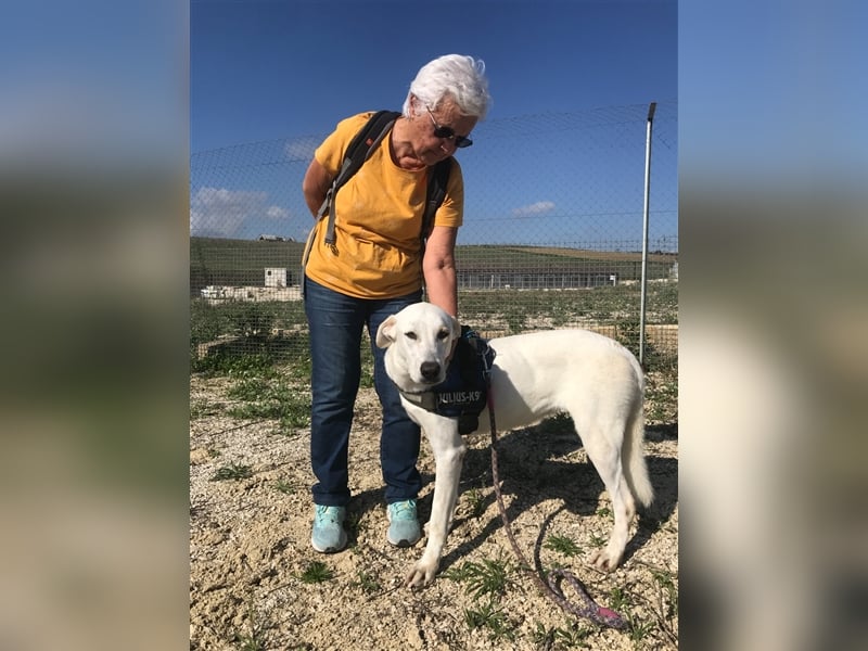 Camilla – cool und und groß-artig