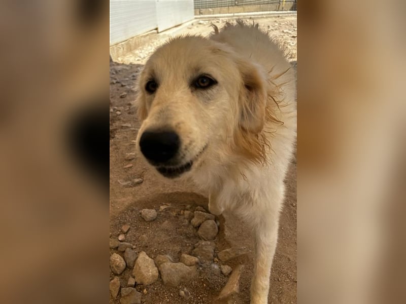 Minu - Maremmana sucht Wirkungskreis