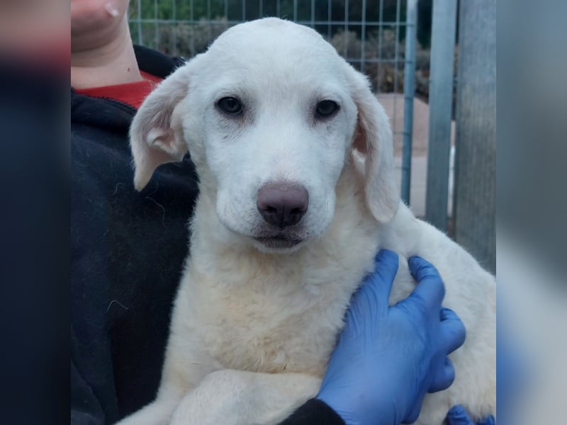 Biba: so klein und so allein