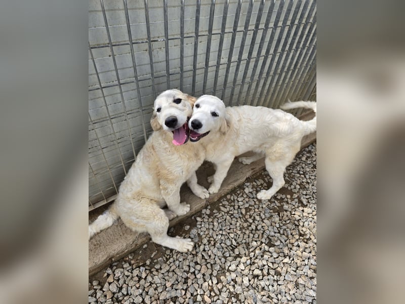 Betty: wird mein Leben bunt und schön?