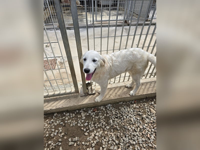 Betty: wird mein Leben bunt und schön?