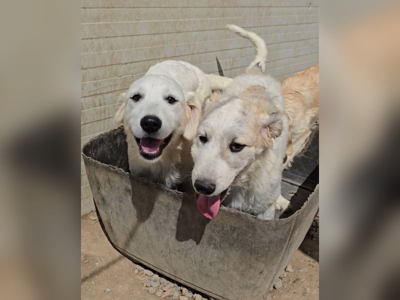 Betty: wird mein Leben bunt und schön?