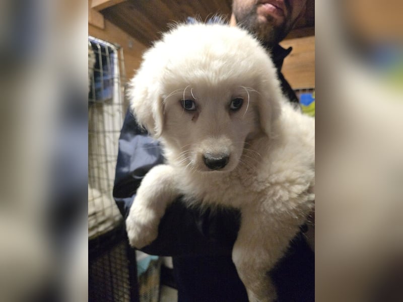 Betty: warum bin ich hier?