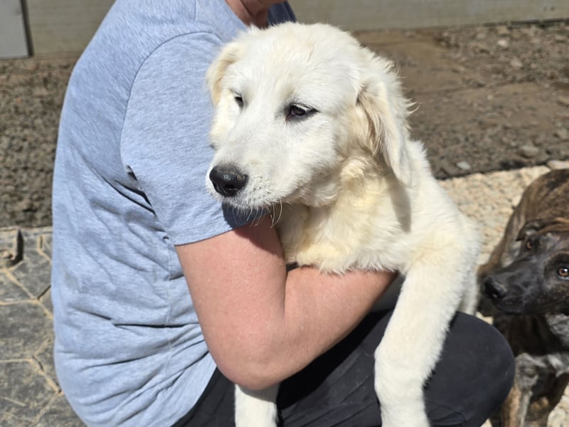 Betty: wird mein Leben bunt und schön?