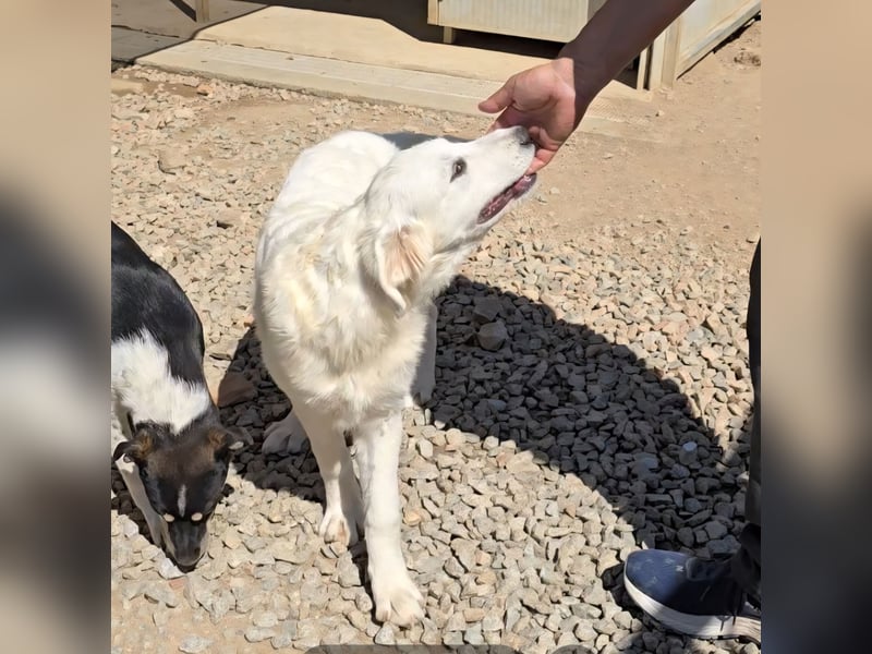 Betty: wird mein Leben bunt und schön?